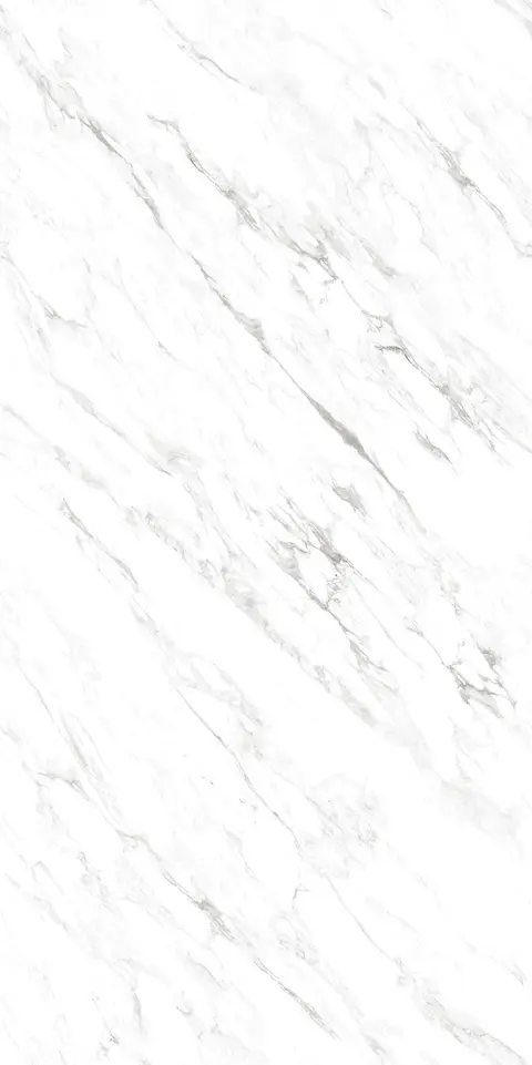 CENTURY WHITE